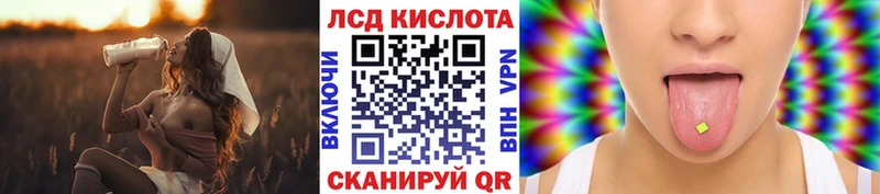 MEGA как войти  Городище  Марки N-bome 1,8мг 